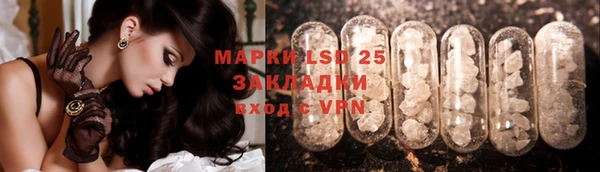 ПСИЛОЦИБИНОВЫЕ ГРИБЫ Белокуриха