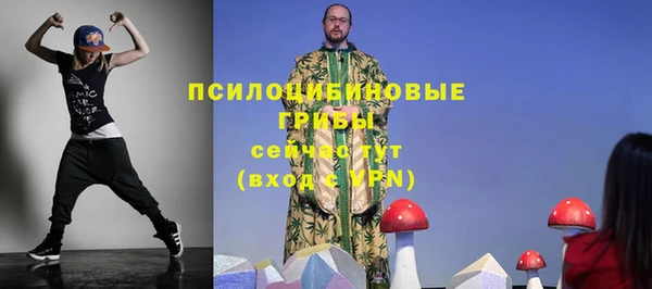 ПСИЛОЦИБИНОВЫЕ ГРИБЫ Белокуриха